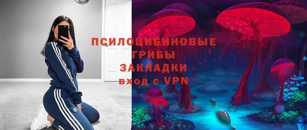 трава Аркадак