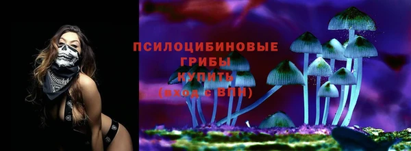 трава Аркадак