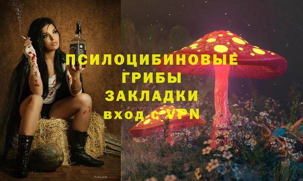 бутират Арсеньев