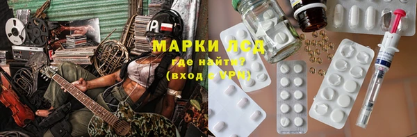 трава Аркадак