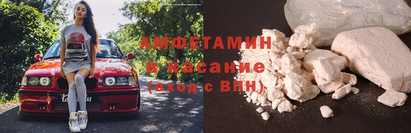 трава Аркадак